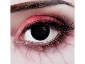 Φακοί Επαφής Ετήσιοι The...