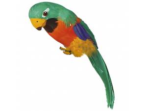 Διακοσμητικός Παπαγάλος...