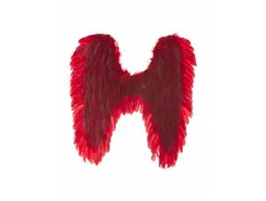 Κόκκινα Φτερά Πουπουλένια...