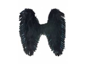 Μαύρα Φτερά Με Πούπουλα...