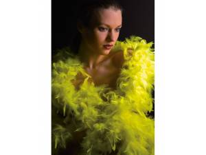 Φτερό Μποα Κίτρινο Φλούο...