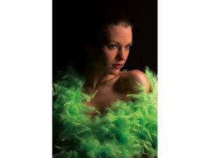 Φτερό Μποα Πράσινο Φλούο...