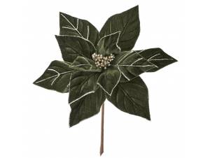 ΧΡ ΑΛΕΞΑΝΔΡΙΝΟ ΠΡΑΣΙΝΟ ΠΙΚ...