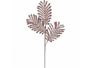 Κλαδί Φτέρη Χριστ.ουγέννων