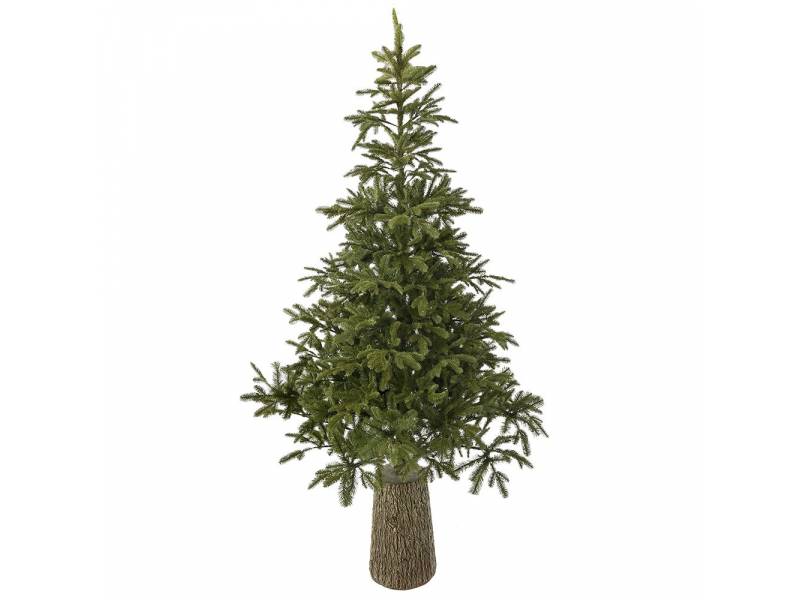 Χριστουγεννιάτικο-δέντρο-Mountain-Pine