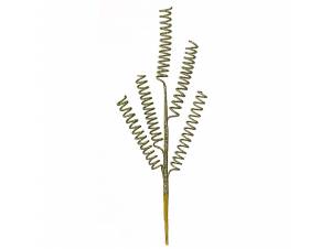 Κλαδί σαμπανιζέ χρυσό με...