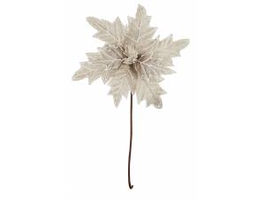 Λουλούδι βάζου αλεξανδρινό...