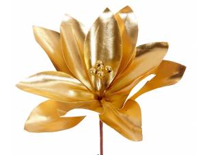 Λουλούδι αλεξανδρινό χρυσό Πικ