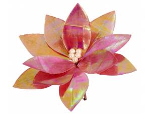 Λουλούδι αλεξανδρινό...