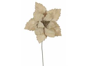 Λουλούδι αλεξανδρινό  βάζου...