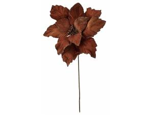 Λουλούδι αλεξανδρινό.bazoy...