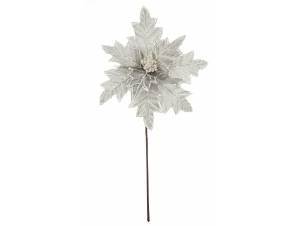 Λουλούδι βάζου αλεξανδρινό...