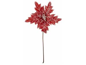 Λουλούδι βάζου αλεξανδρινό...