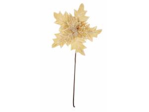 Λουλούδι βάζου αλεξανδρινό...