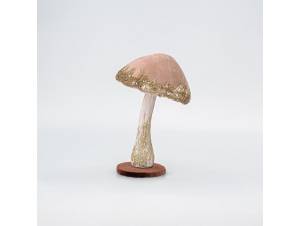 Βελούδινο μανιτάρι σομόν με...