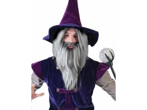 Περούκα Και Γενειάδα Μάγου...