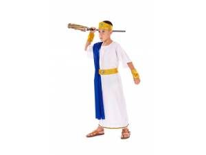 Αποκριάτικη Στολή Αρχαίος...