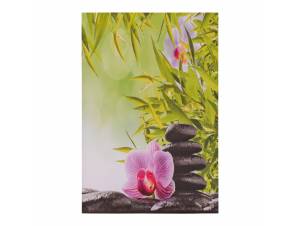 ΠΙΝΑΚΑΣ ΚΑΜΒΑΣ FLOWER...