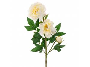  ΛΕΥΚΟ ΚΛΑΔΙ ΠΑΙΩΝΙΑ 82ΕΚ Χ3