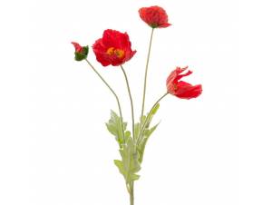  ΚΟΚΚΙΝΗ ΠΑΠΑΡΟΥΝΑ 63ΕΚ...