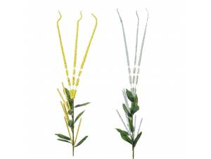  ΚΛΑΔΙ  ΑΣΠΡΟ-ΚΙΤΡΙΝΟ 105εκ