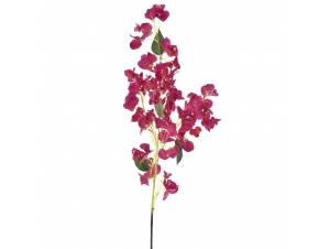  ΚΛΑΔΙ ΦΟΥΞΙΑ ΒΟΥΚΑΜΒΙΛΙΑ...