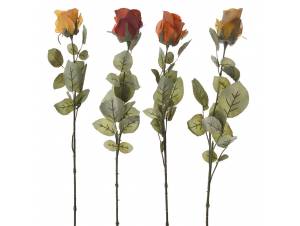  ΚΛΑΔΙ ΤΡΙΑΝΤΑΦΥΛΛΟ...