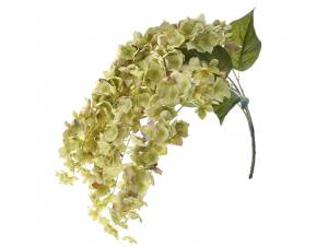  ΚΡΕΜΑΣΤΟ ΚΛΑΔΙ ΠΡΑΣΙΝΗ...