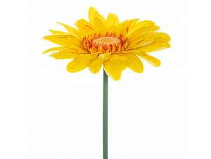  ΓΙΓΑΣ ΚΙΤΡΙΝΗ ΖΕΡΜΠΕΡΑ...