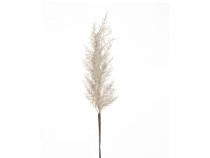  PAMPAS ΦΥΣΙΚΟ ΛΕΥΚΟ ΚΛΑΔΙ...