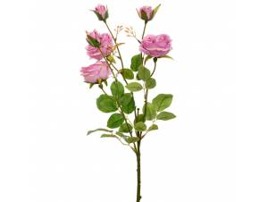  ΛΙΛΑ ΚΛΑΔΙ ΤΡΙΑΝΤΑΦΥΛΛΟ Χ6...