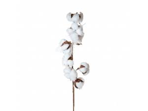  ΚΑΦΕ ΚΛΑΔΙ X3 ΜΕ 8...