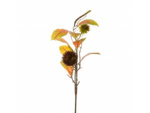  ΚΑΣΤΑΝΟ ΚΛΑΔΙ 15Χ50ΕΚ