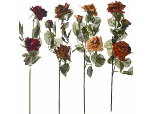  ΚΛΑΔΙ ΒΕΛΟΥΔΙΝΟ...