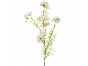  ΛΕΥΚΟ ΚΛΑΔΙ ΑΝΕΜΩΝΗ 78ΕΚ