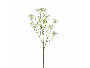  ΛΕΥΚΗ ΓΥΨΟΦΙΛΛΗ 62ΕΚ ΚΛΑΔΙ