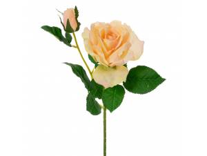  ΚΛΑΔΙ ΚΡΕΜ ΤΡΙΑΝΤΑΦΥΛΛΟ ΜΕ...