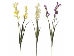  ΚΛΑΔΙ ΥΑΚΙΝΘΟΣ X2 60EK ΣΕ...