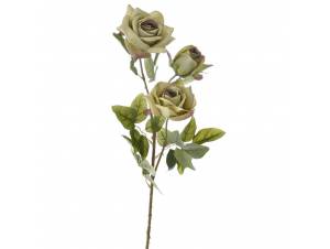  ΚΛΑΔΙ ΠΡΑΣΙΝΑ ΤΡΙΑΝΤΑΦΥΛΛΑ...