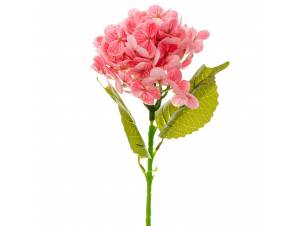  ΟΡΤΑΝΣΙΑ ΡΟΖ ΚΛΑΔΙ 15Χ45ΕΚ