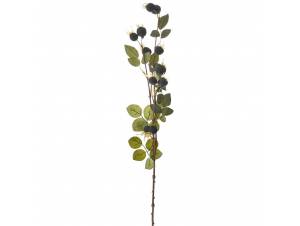  ΚΛΑΔΙ ΜΕ ΚΑΡΠΟΥΣ...