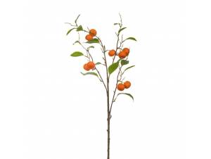  ΠΟΡΤΟΚΑΛΙ ΚΛΑΔΙ 25Χ92ΕΚ