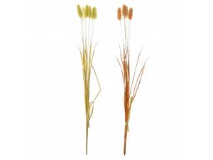  ΜΑΤΣΑΚΙ ΜΕ 6 ΚΛΑΔΙΑ...