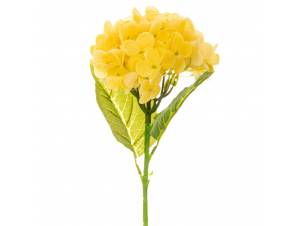  ΟΡΤΑΝΣΙΑ ΚΙΤΡΙΝΟ ΚΛΑΔΙ...