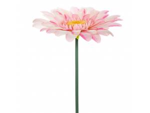  ΓΙΓΑΣ ΡΟΖ ΖΕΡΜΠΕΡΑ 125ΕΚ...