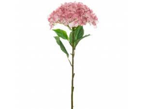  ΜΕΓΑΛΗ ΡΟΖ ΟΡΤΑΝΣΙΑ 110ΕΚ...