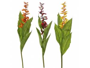  ΚΛΑΔΙ GLOBBA WINITTI 73ΕΚ