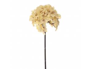  ΟΡΤΑΝΣΙΑ ΚΡΕΜ ΚΛΑΔΙ 54ΕΚ