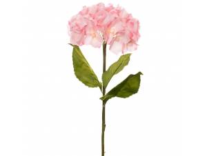  ΓΙΓΑΣ ΡΟΖ ΟΡΤΑΝΣΙΑ 110ΕΚ...