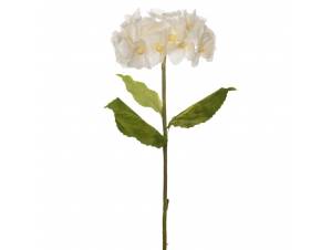  ΓΙΓΑΣ ΚΡΕΜ ΟΡΤΑΝΣΙΑ 110ΕΚ...